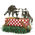 Gifs animados Animales - Imagenes animadas de Animales