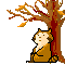 Gifs animados Animales - Imagenes animadas de Animales