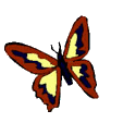 Gifs animados Animales - Imagenes animadas de Animales