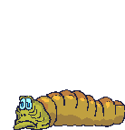 Gifs animados Animales - Imagenes animadas de Animales