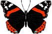 Gifs animados Animales - Imagenes animadas de Animales