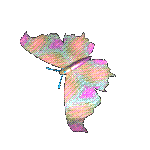 Gifs animados Animales - Imagenes animadas de Animales
