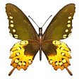 Gifs animados Animales - Imagenes animadas de Animales