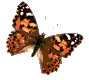 Gifs animados Animales - Imagenes animadas de Animales