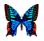 Gifs animados Animales - Imagenes animadas de Animales