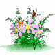 Gifs animados Animales - Imagenes animadas de Animales