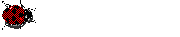 mariquita12.gif