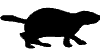 Gifs animados Animales - Imagenes animadas de Animales