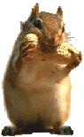 Gifs animados Animales - Imagenes animadas de Animales