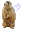 Gifs animados Animales - Imagenes animadas de Animales