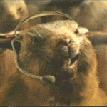 Gifs animados Animales - Imagenes animadas de Animales