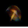 Gifs animados Animales - Imagenes animadas de Animales