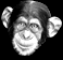 Gifs animados Animales - Imagenes animadas de Animales