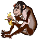 Gifs animados Animales - Imagenes animadas de Animales