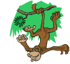 Gifs animados Animales - Imagenes animadas de Animales