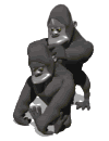 Gifs animados Animales - Imagenes animadas de Animales