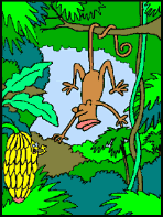 Gifs animados Animales - Imagenes animadas de Animales