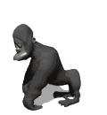 Gifs animados Animales - Imagenes animadas de Animales