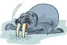 Gifs animados Animales - Imagenes animadas de Animales