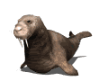 Gifs animados Animales - Imagenes animadas de Animales