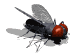 Gifs animados Animales - Imagenes animadas de Animales