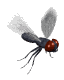 Gifs animados Animales - Imagenes animadas de Animales