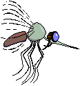 Gifs animados Animales - Imagenes animadas de Animales