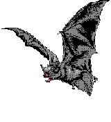 Gifs animados Animales - Imagenes animadas de Animales