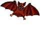 Gifs animados Animales - Imagenes animadas de Animales