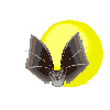 Gifs animados Animales - Imagenes animadas de Animales