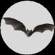 Gifs animados Animales - Imagenes animadas de Animales