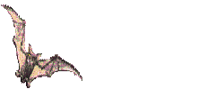 Gifs animados Animales - Imagenes animadas de Animales