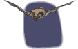Gifs animados Animales - Imagenes animadas de Animales