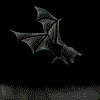 Gifs animados Animales - Imagenes animadas de Animales