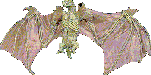 Gifs animados Animales - Imagenes animadas de Animales