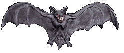 Gifs animados Animales - Imagenes animadas de Animales