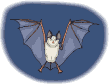 Gifs animados Animales - Imagenes animadas de Animales