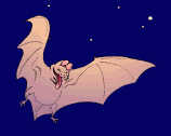 Gifs animados Animales - Imagenes animadas de Animales