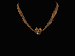 Gifs animados Animales - Imagenes animadas de Animales