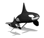 Gifs animados Animales - Imagenes animadas de Animales