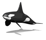 Gifs animados Animales - Imagenes animadas de Animales