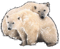 Gifs animados Animales - Imagenes animadas de Animales