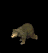 Gifs animados Animales - Imagenes animadas de Animales