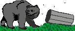 Gifs animados Animales - Imagenes animadas de Animales