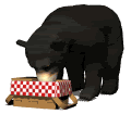 Gifs animados Animales - Imagenes animadas de Animales