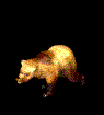 Gifs animados Animales - Imagenes animadas de Animales