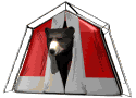 Gifs animados Animales - Imagenes animadas de Animales