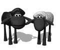 Gifs animados Animales - Imagenes animadas de Animales
