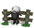 Gifs animados Animales - Imagenes animadas de Animales