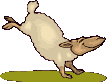 Gifs animados Animales - Imagenes animadas de Animales